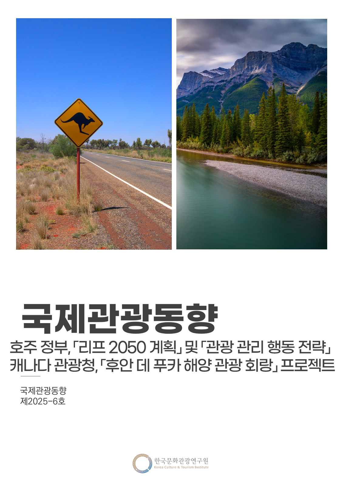 투어고인사이트