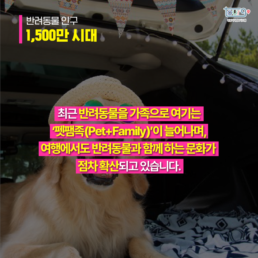 카드뉴스이미지