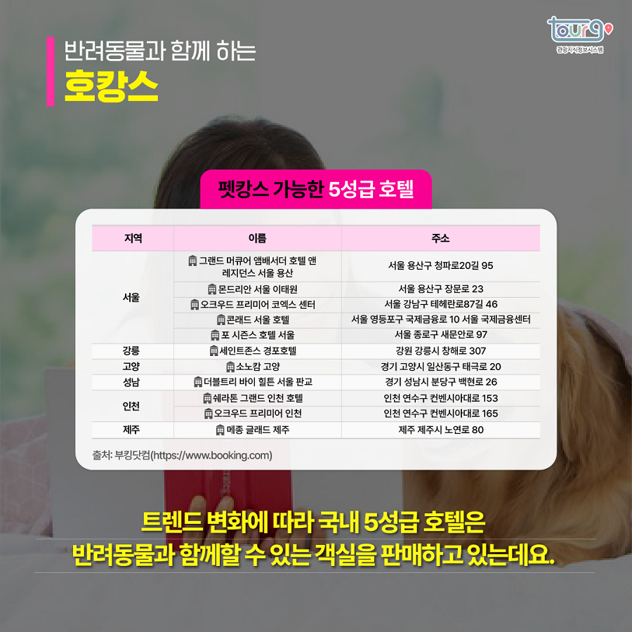 카드뉴스이미지